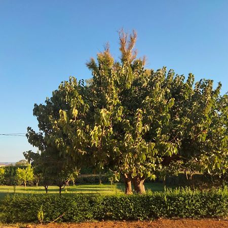 Agriturismo I Doni Del Mandorlo Αλγκέρο Εξωτερικό φωτογραφία