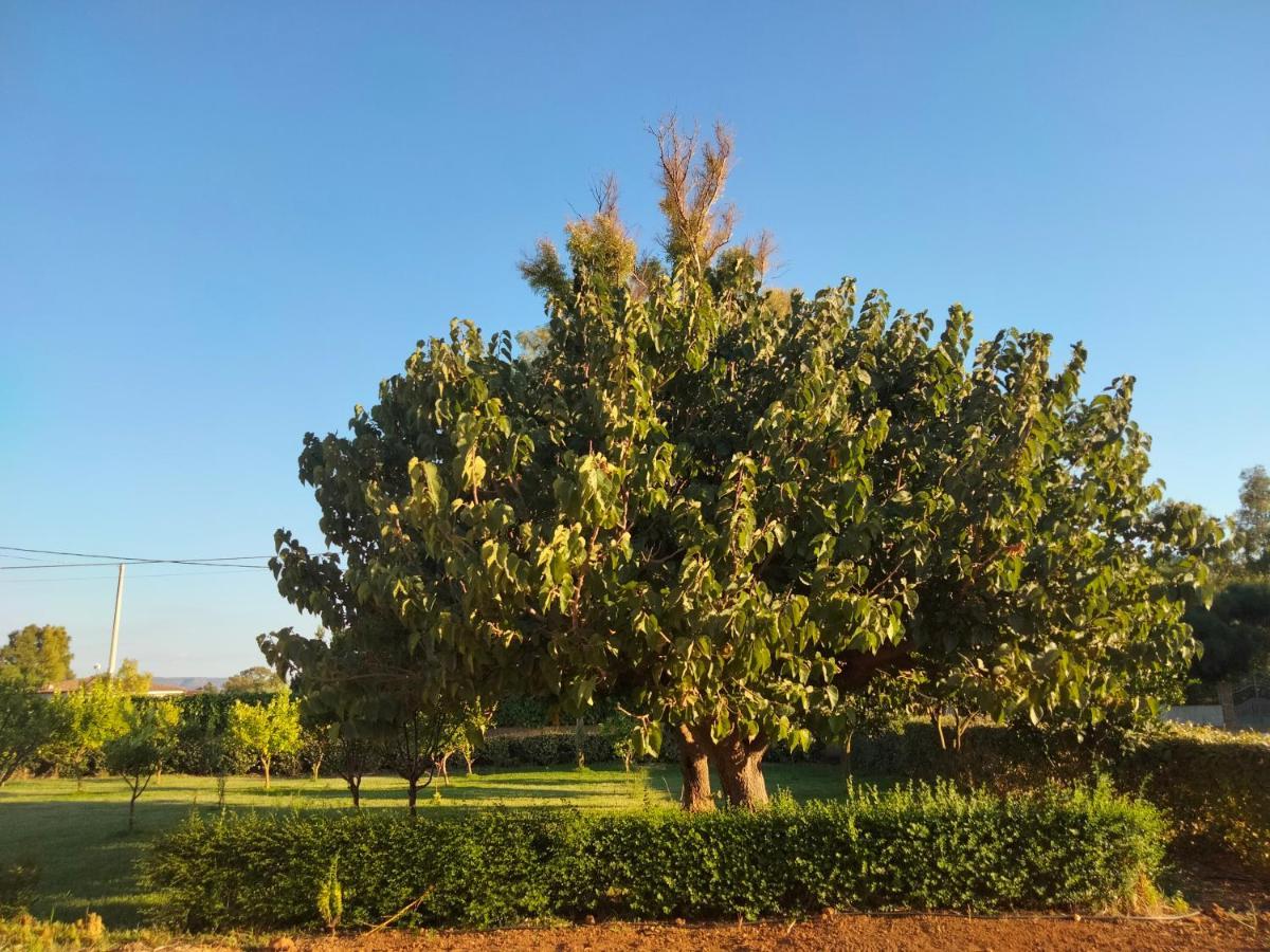 Agriturismo I Doni Del Mandorlo Αλγκέρο Εξωτερικό φωτογραφία