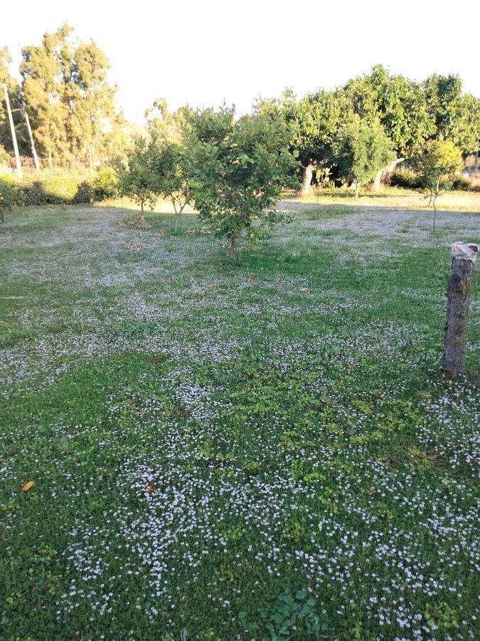 Agriturismo I Doni Del Mandorlo Αλγκέρο Εξωτερικό φωτογραφία