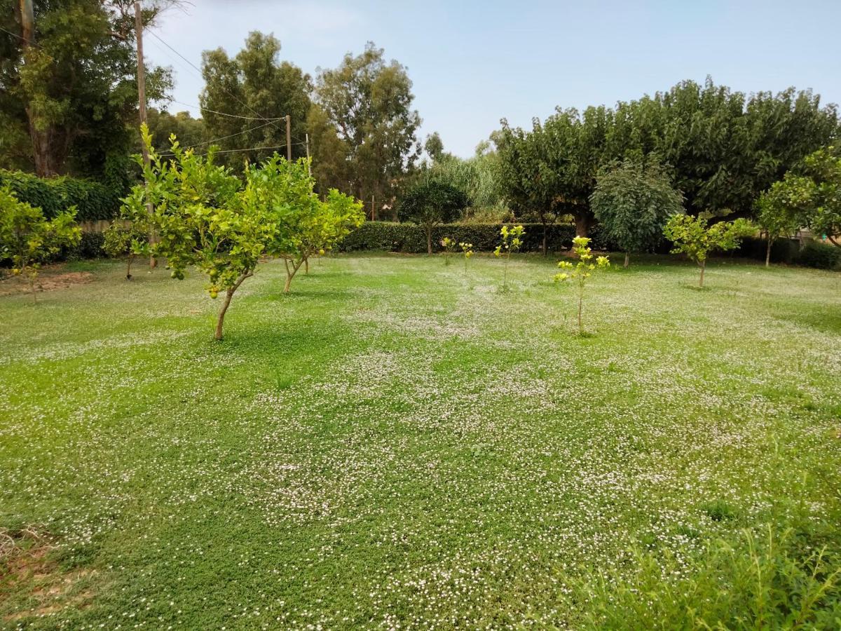 Agriturismo I Doni Del Mandorlo Αλγκέρο Εξωτερικό φωτογραφία