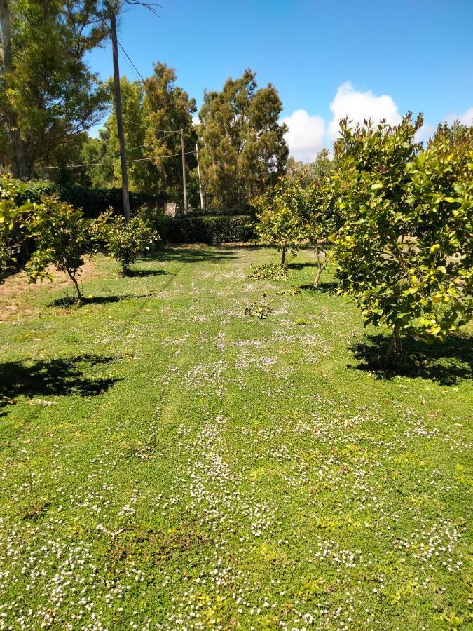 Agriturismo I Doni Del Mandorlo Αλγκέρο Εξωτερικό φωτογραφία
